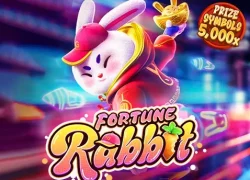 Fortune Rabbit