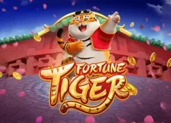 Fortune Tiger